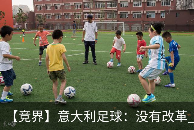 【竞界】意大利足球：没有改革 只有新的补锅匠